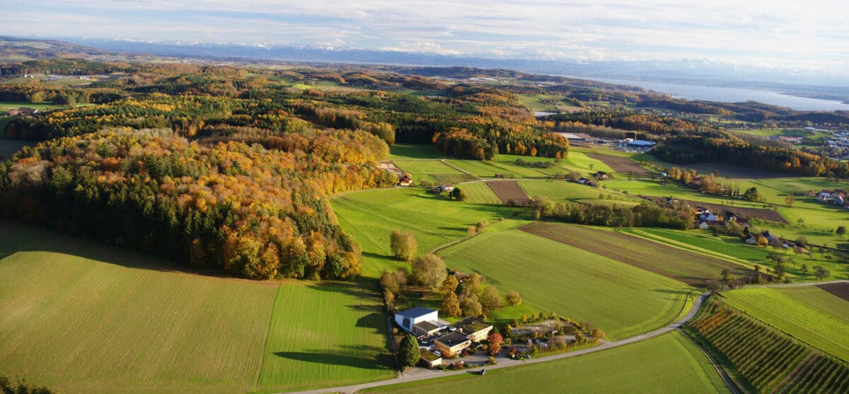 Freie ev. Brüdergemeinde Mosbach-Neckarelz